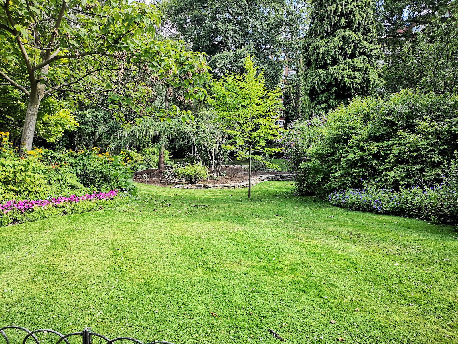 green grass field with trees